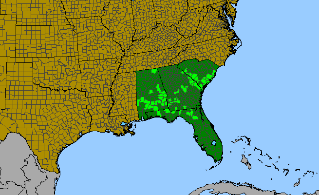 The range of Trillium maculatum